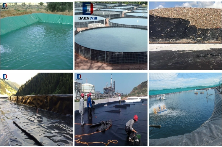 ISO Certification 0.75mm GM 13 HDPE Geomembrane Shrimp Pond Liner