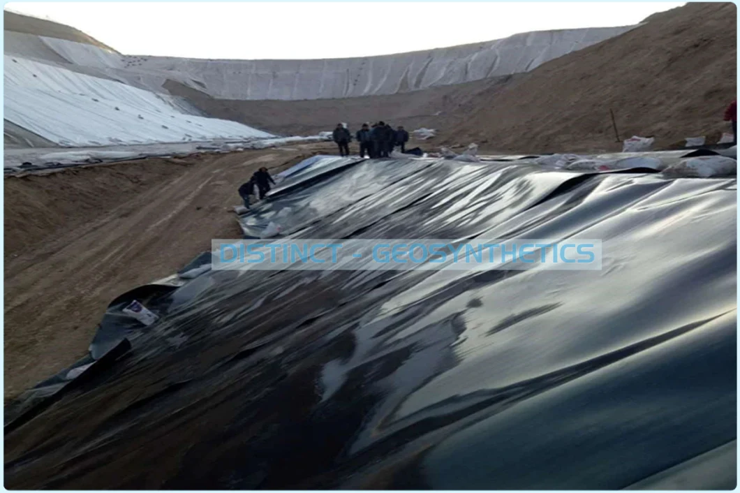 Geocomposite /HDPE Geomembrane Pond Liner/Geogrid Road Construction Material